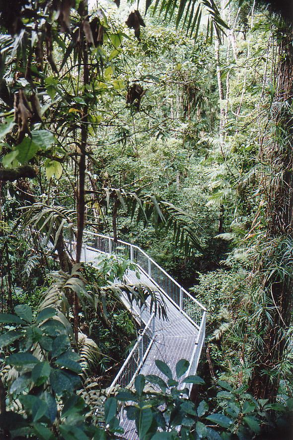 A3003786-空中步行通道